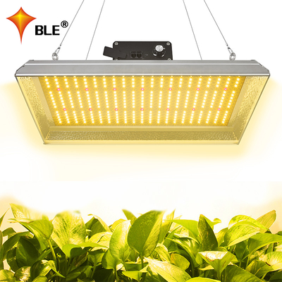 Lampe de culture à LED professionnelle 100w pour plantes tropicales