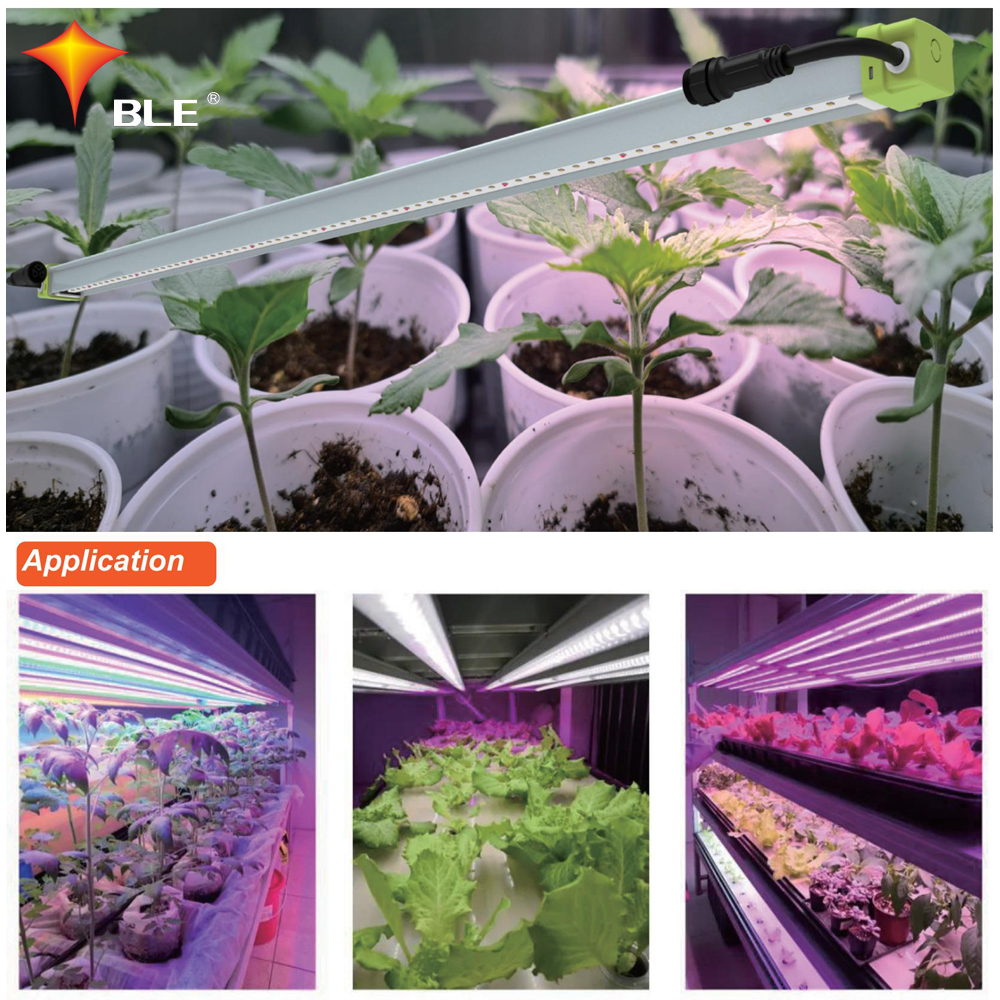 Lumière de croissance à LED linéaire haute puissance 75W pour plantes en pot