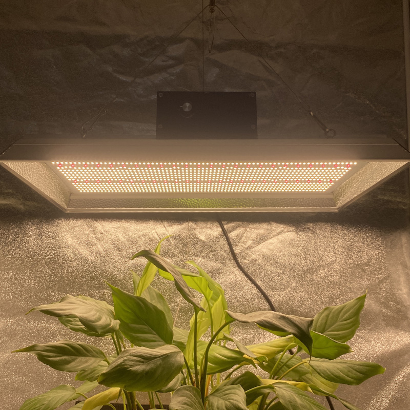 Jardin agricole LED Grow Light pour les plantes tropicales