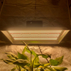 Horticulturel 400 watts LED Cultiver la lumière pour les plantes de pot