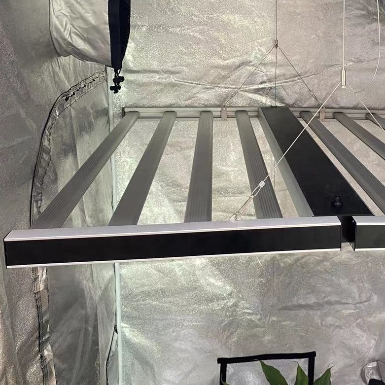 Indoor 1000W LED Grow Cultiver pour les succulentes