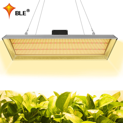 Lampe de culture à LED d'intérieur 300w pour légumes