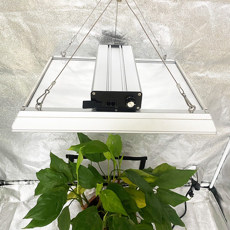 Low Energy Full Spectrum LED Grow Light pour les tomates