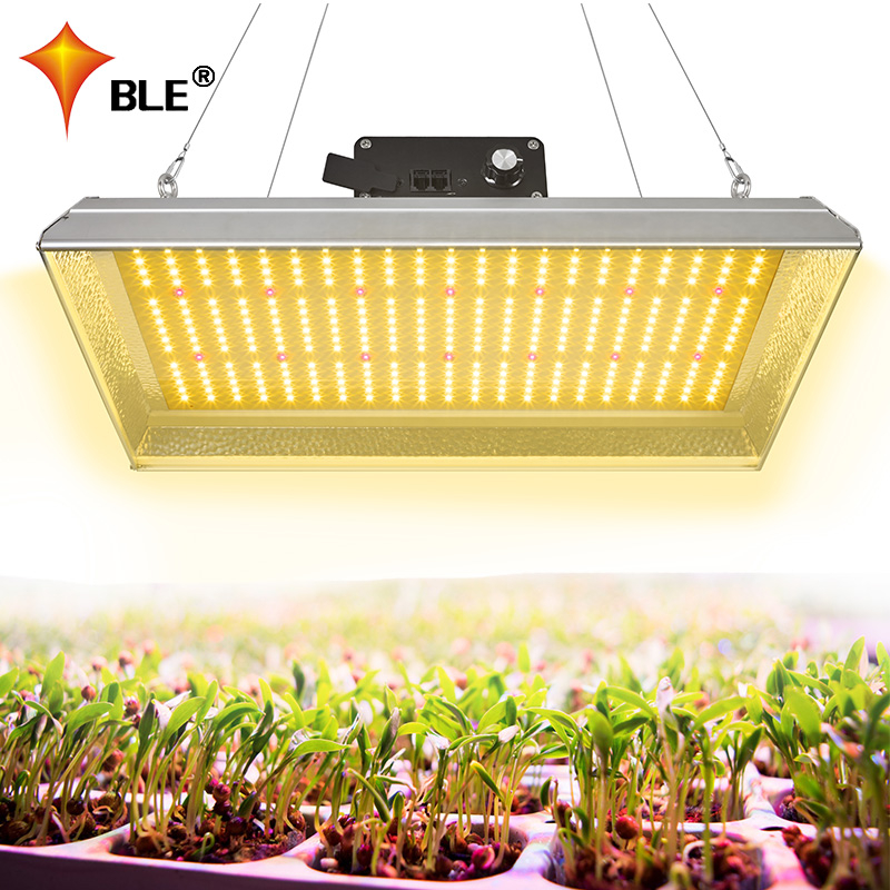 Lumière de croissance à LED à spectre complet 100w pour piments